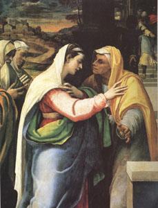 Sebastiano del Piombo The Visitation (mk05) oil painting image